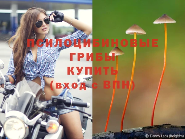 амфетамин Дмитровск