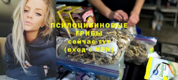 молекула духа Елизово