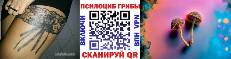 Купить закладки  Правдинск  Псилоцибиновые грибы GOLDEN TEACHER 