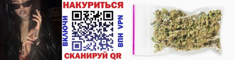 Шишки марихуана гибрид  Купить закладки  Правдинск 